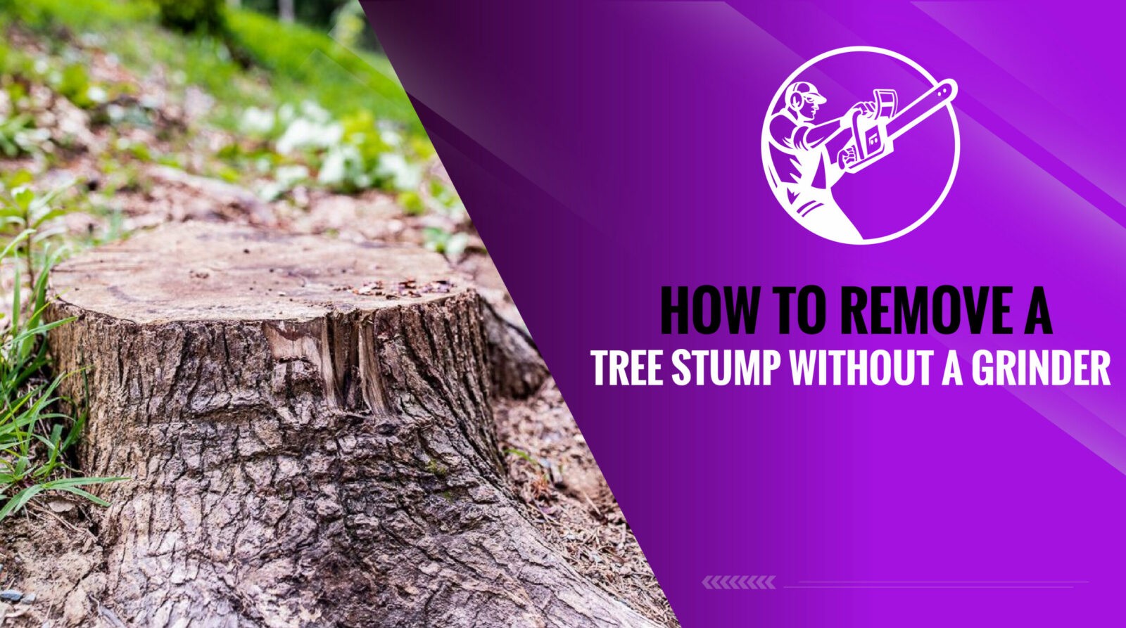 How to Remove a Tree Stump Without A Grinder? – 2023 Guide
