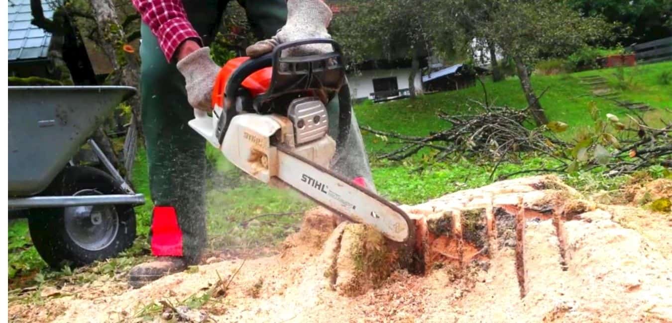 How to get rid of stumps quickly