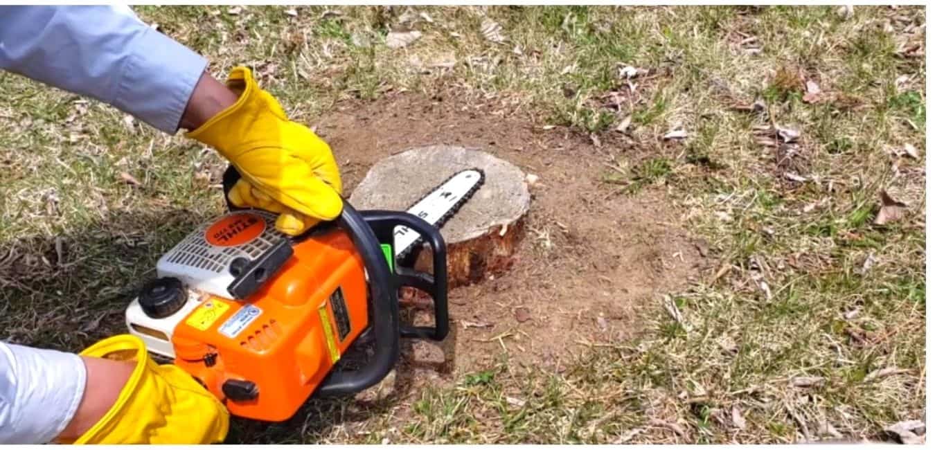 Remove stump with a chainsaw