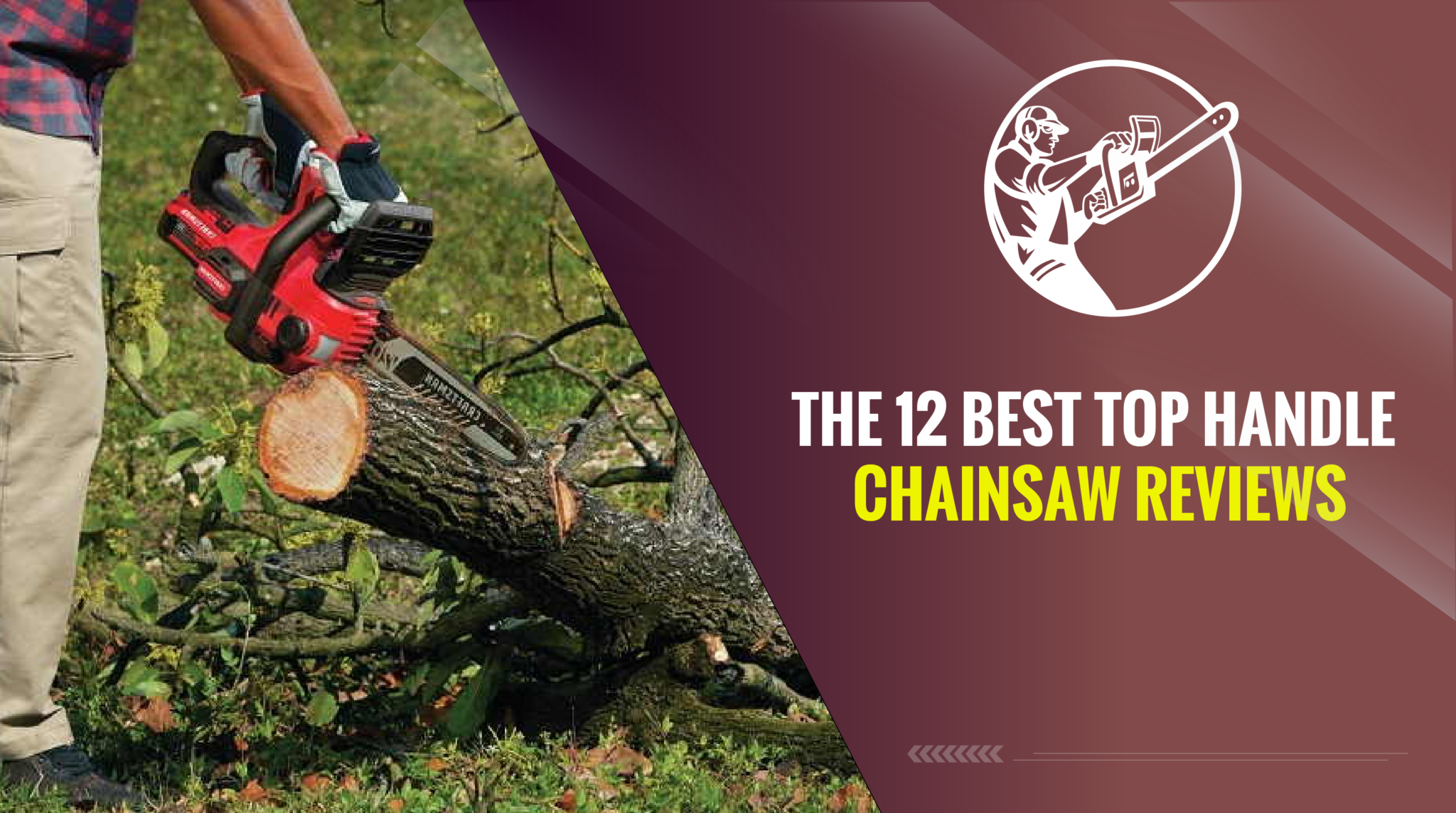 The 12 Best Top Handle Chainsaw Reviews In 2024