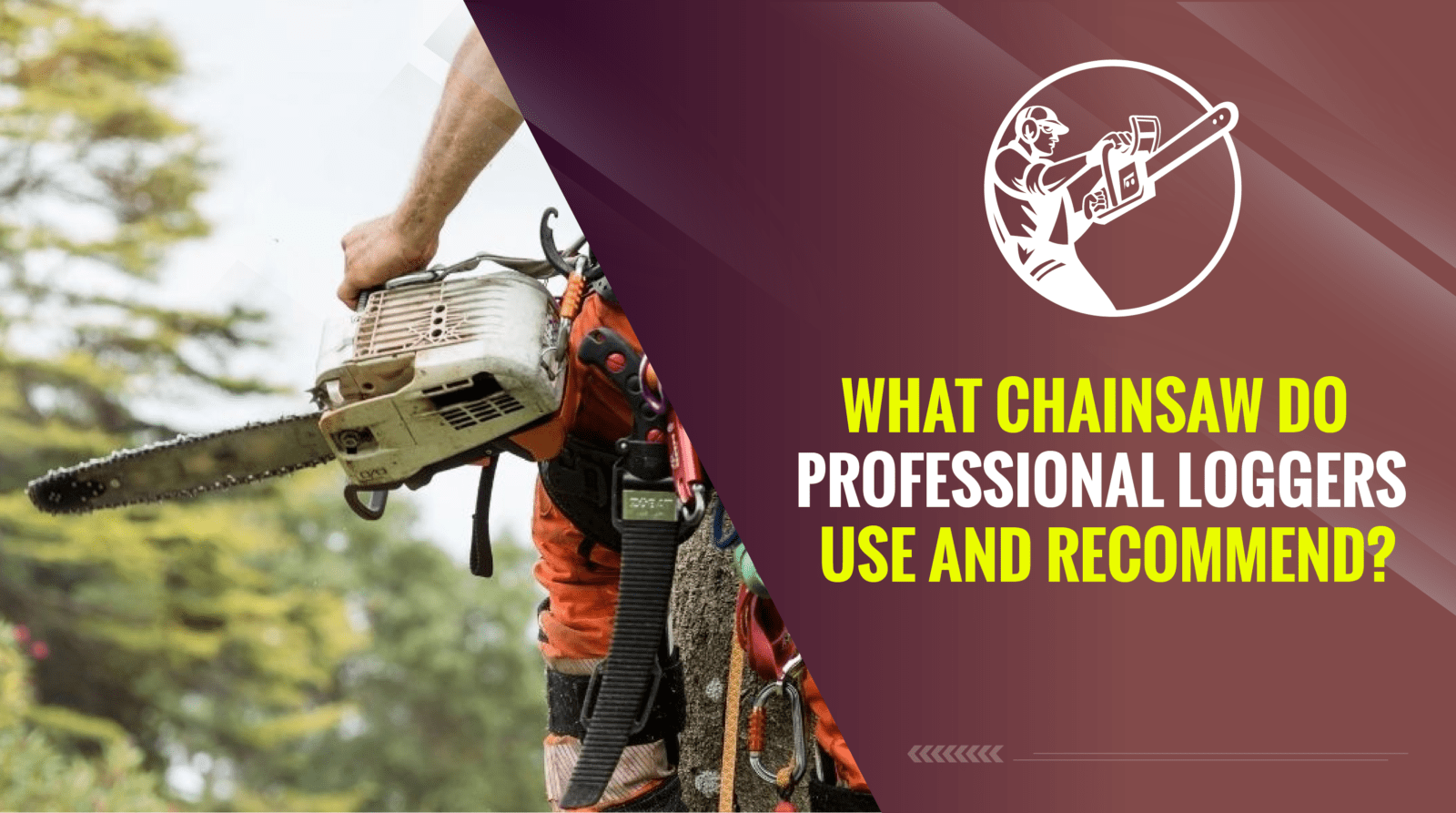 What Chainsaw Do Professional Loggers Use and Recommend?