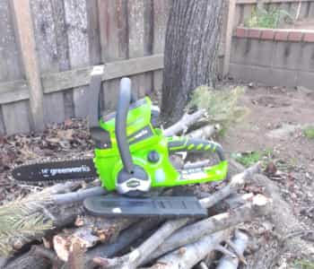 Greenworks 24V – Best for Trimming Trees and Branches