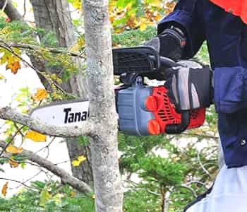 Tanaka TCS33EDTP – The Two Stroke Chainsaw