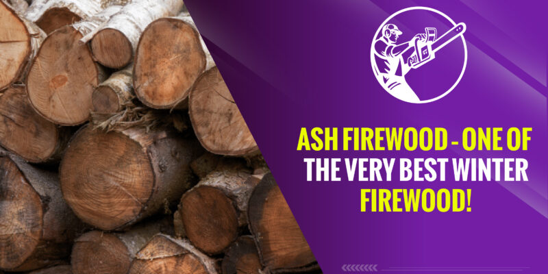 Ash Firewood – One of the Very Best Winter Firewood!