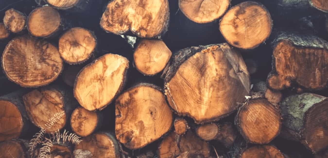 Cherry Firewood Details – Its Heat Output and the Qualities