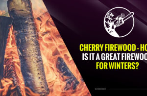 Cherry Firewood – How Is It a Great Firewood for Winters