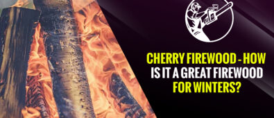 Cherry Firewood – How Is It a Great Firewood for Winters?
