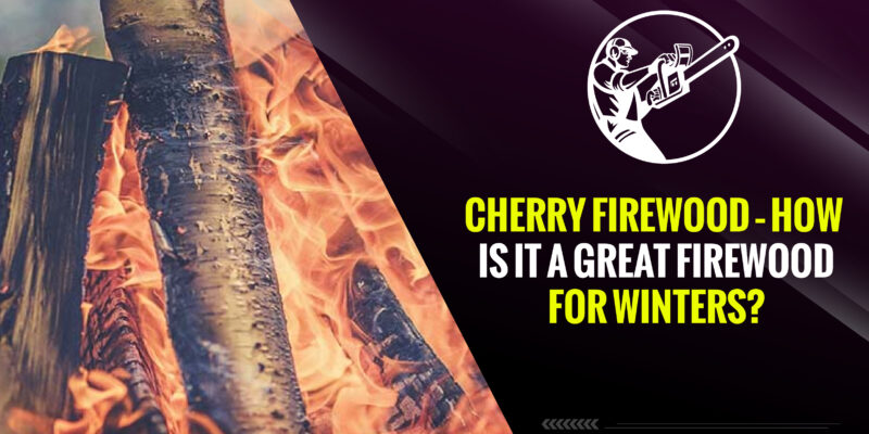 Cherry Firewood – How Is It a Great Firewood for Winters?