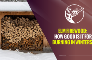 Elm Firewood How Good Is It for Burning in Winters