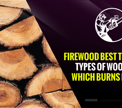 Firewood Best to Worst – Types of Wood and Which Burns Longer