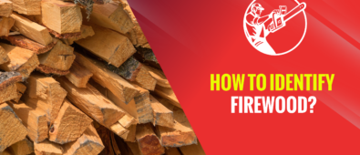 How to Identify Firewood? – 4 Methods to Identify Firewood!