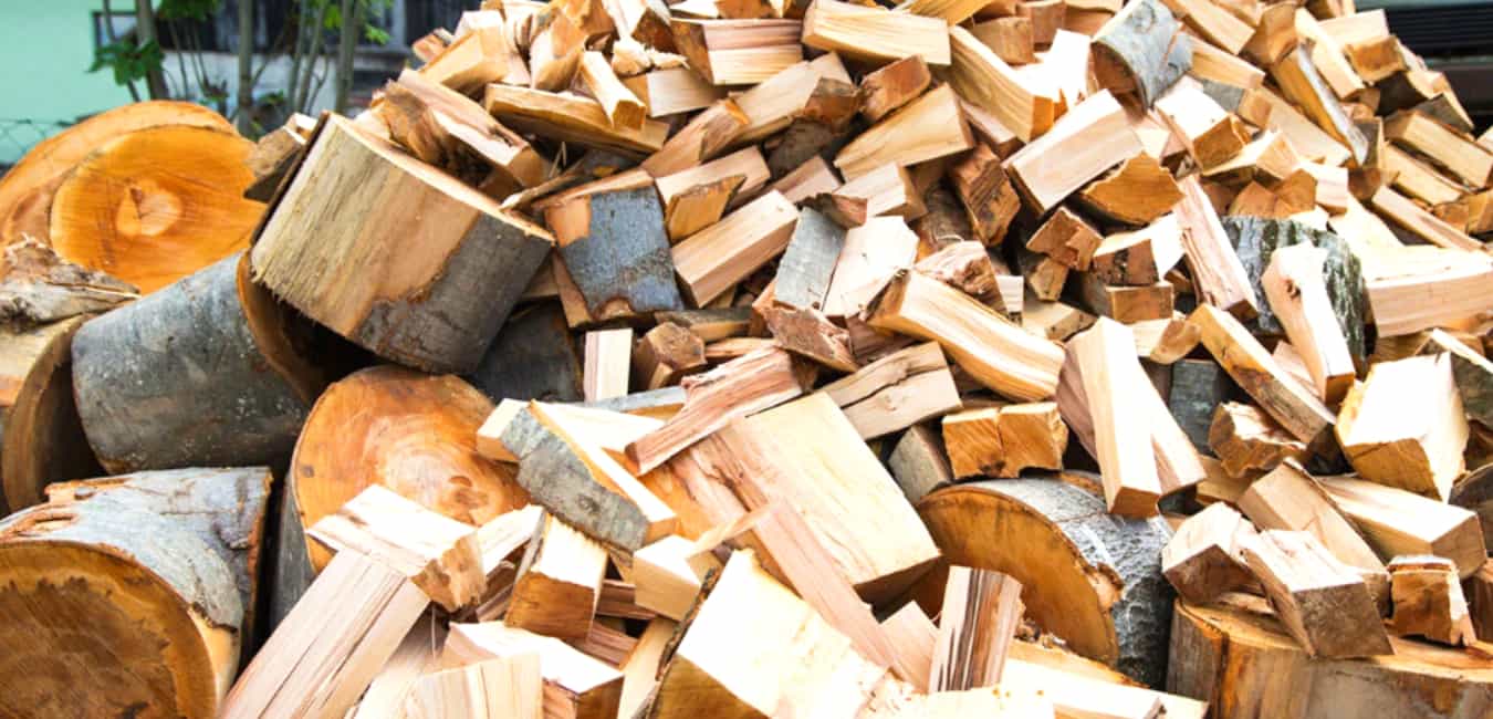 Types of Elm Firewood