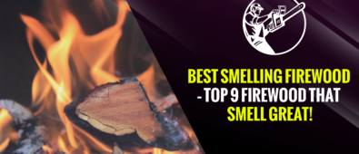 Best Smelling Firewood – Top 9 Firewood That Smell Great!