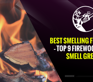 Best Smelling Firewood – Top 9 Firewood That Smell Great!