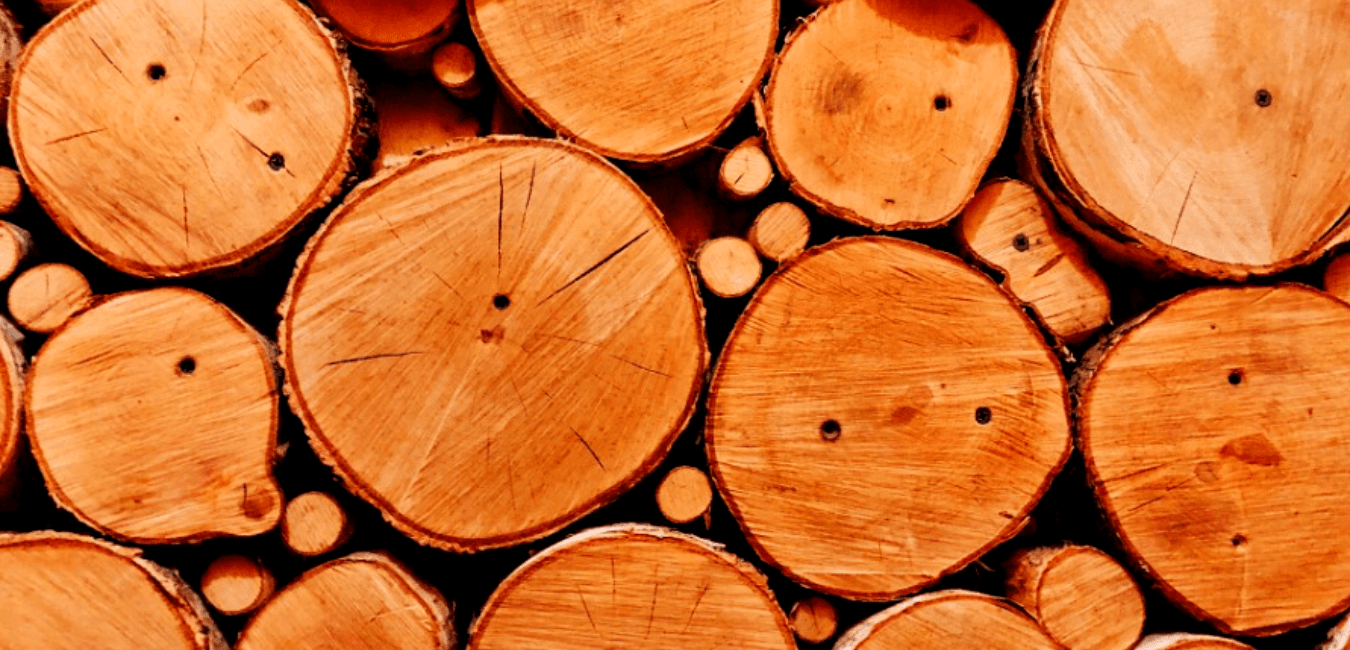 Highlights of Burning Oak Firewood