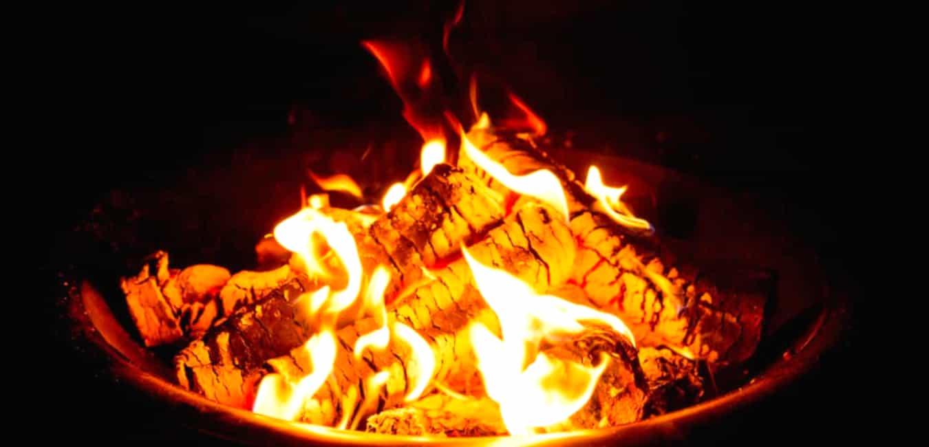 Highlights of Burning Sycamore Firewood