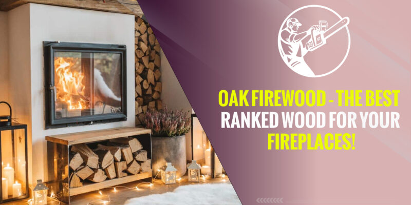 Oak Firewood – The Best Ranked Wood for Your Fireplaces!