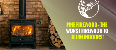 Pine Firewood – The Worst Firewood to Burn Indoors!