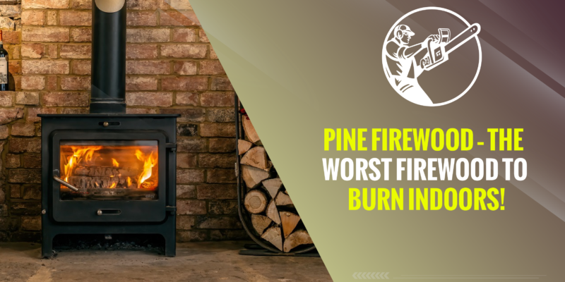 Pine Firewood – The Worst Firewood to Burn Indoors!