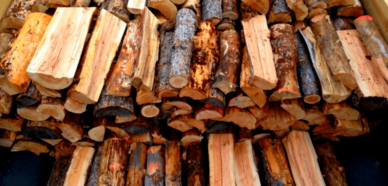 What Does Pine Firewood Look Like