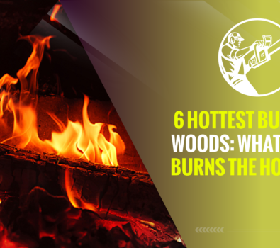 6 Hottest Burning Woods: What Wood Burns the Hottest?