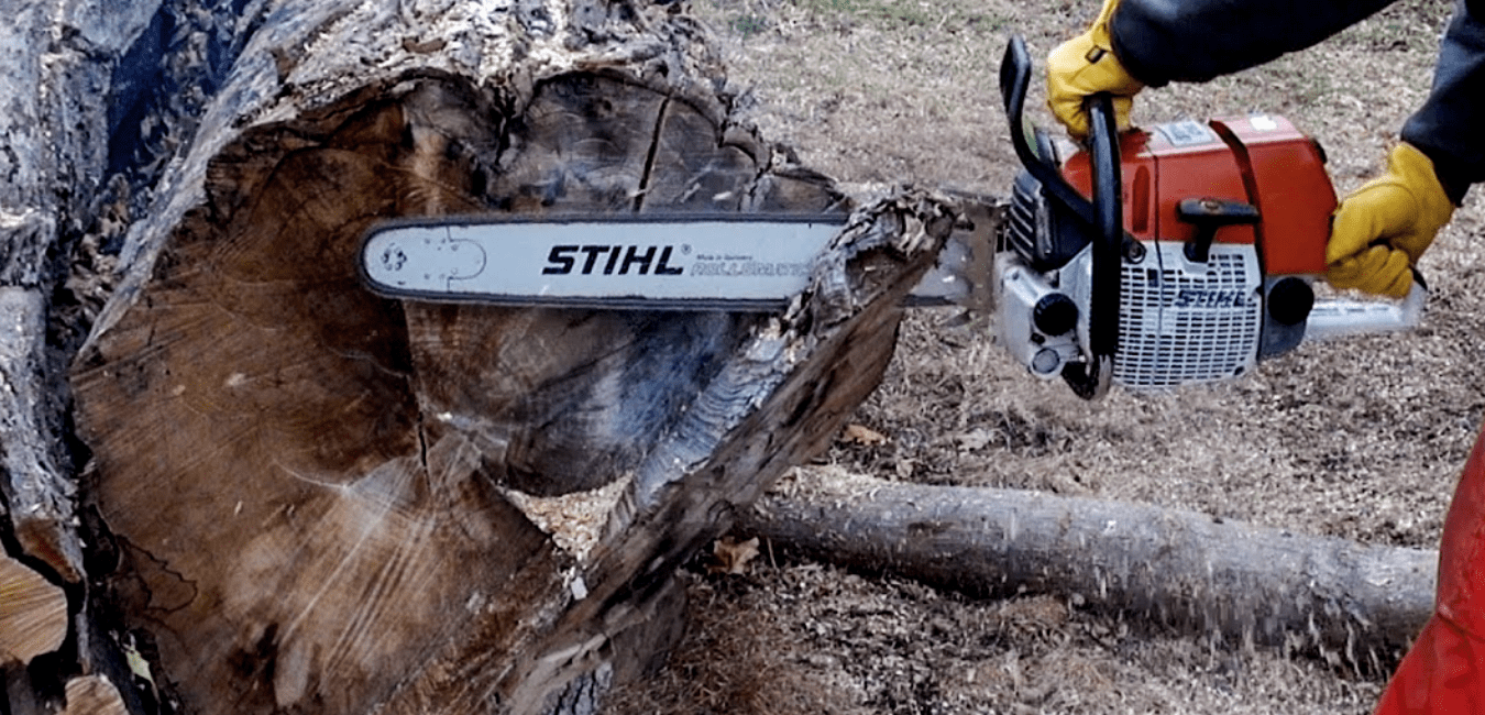 7 Simple Steps on How to Cut Logs with a Chainsaw