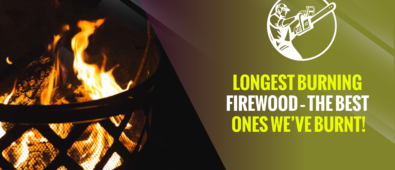 Longest Burning Firewood – The Best Ones We’ve Burnt!
