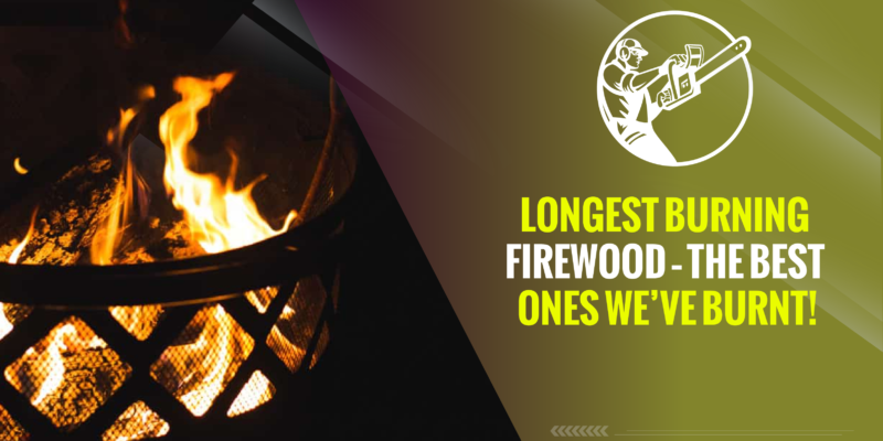 Longest Burning Firewood – The Best Ones We’ve Burnt!