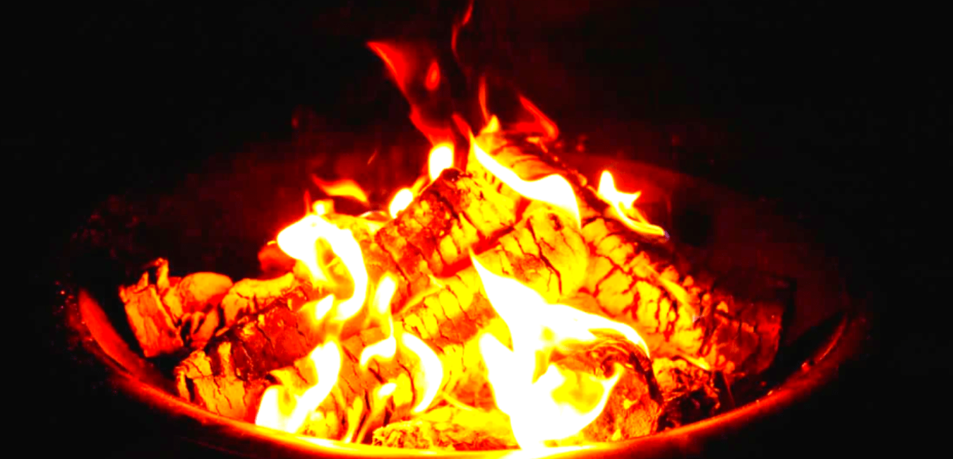 Longest Burning Firewood