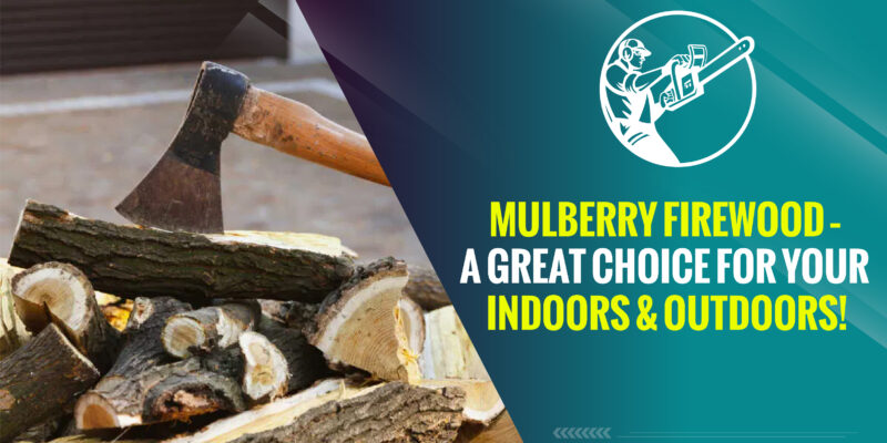 Mulberry Firewood – A Great Choice for Your Indoors & Outdoors!