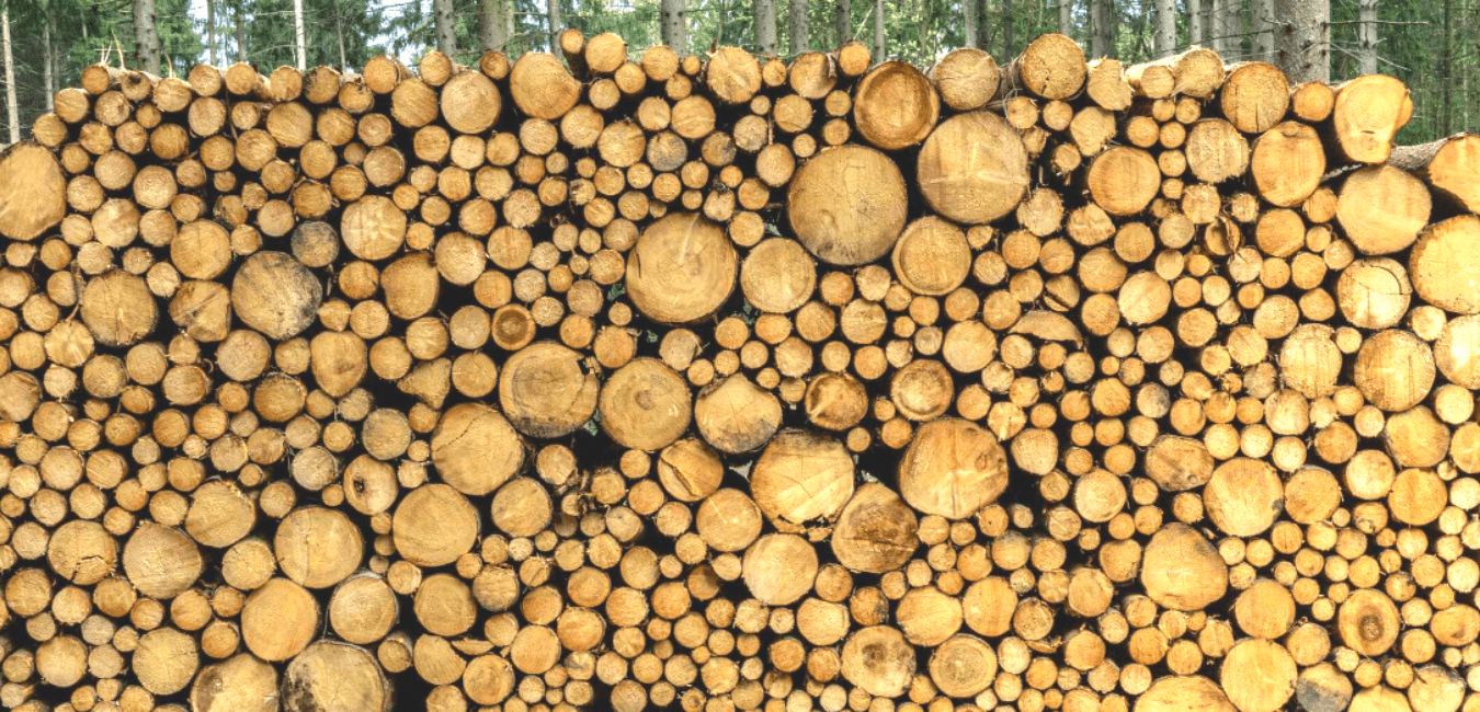 Types of Beech Firewood