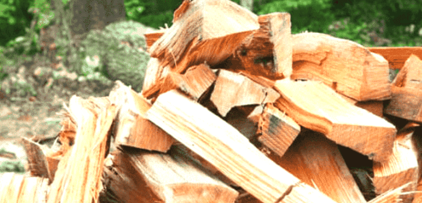 Can you burn fresh-cut wood
