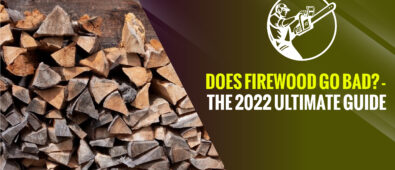 Does firewood go bad? – The 2023 Ultimate Guide