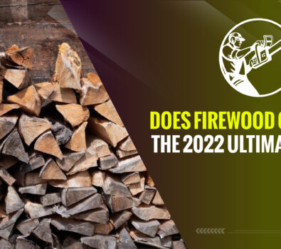 Does firewood go bad? – The 2023 Ultimate Guide