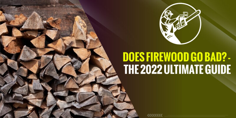 Does firewood go bad? – The 2024 Ultimate Guide