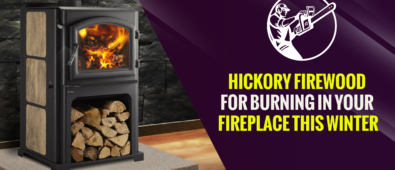 Hickory Firewood for Burning in Your Fireplace This Winter