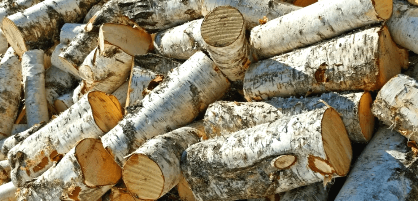 How long to season birch firewood