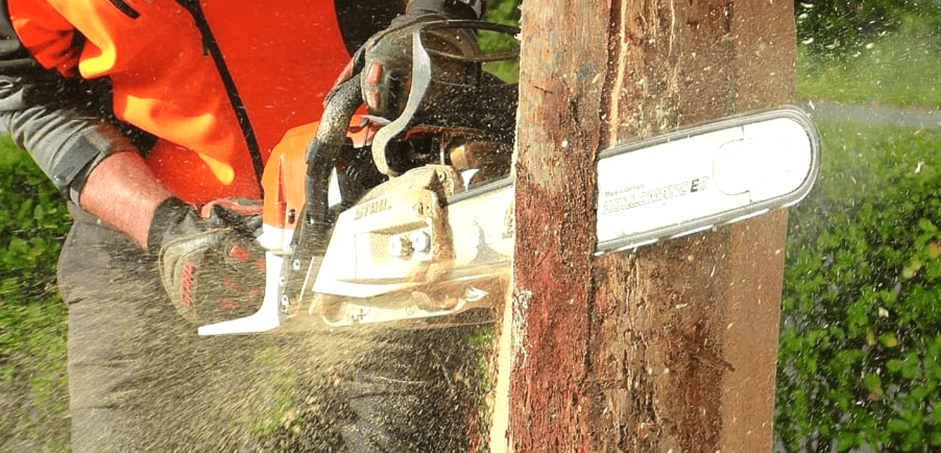 Tips for Using a Chainsaw in the Rain