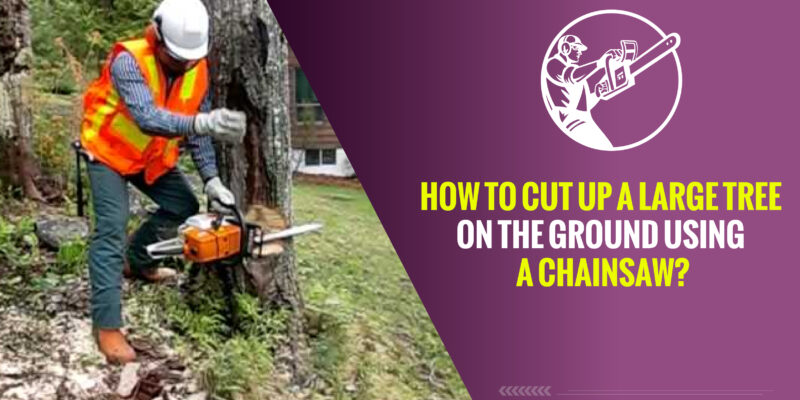 How to Cut Up a Large Tree on The Ground Using a Chainsaw?