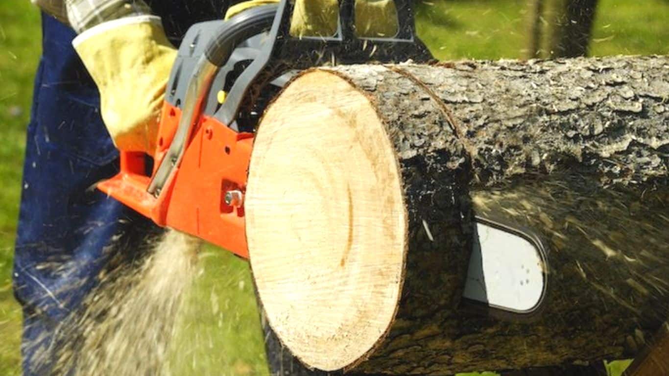 Two Methods for Cutting Wood Slices with Chainsaw