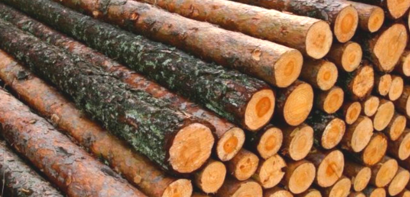 Give your Wood Log a Good Support!