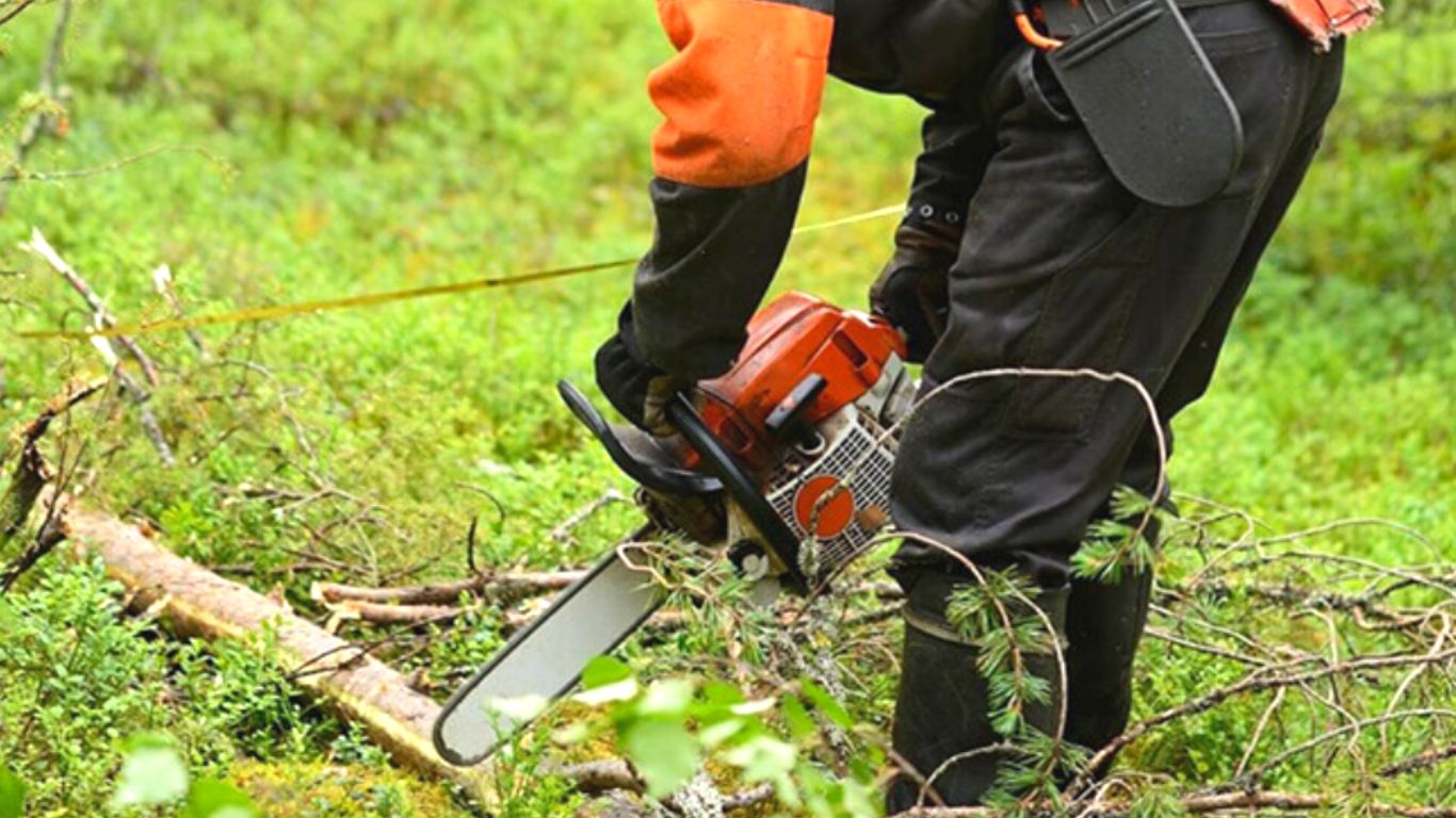Noise Control Tips for Your Chainsaw!
