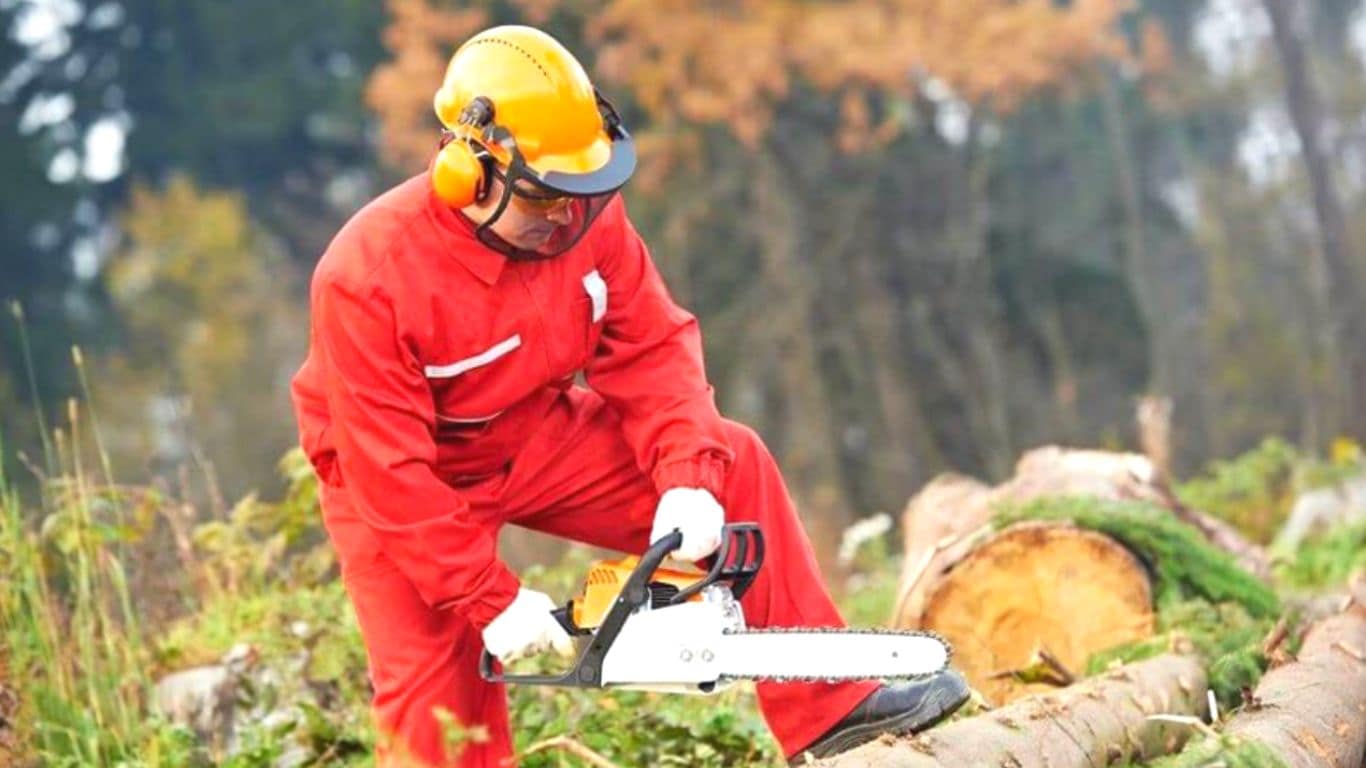 Safety Equipment You Shouldn’t Miss Out On While Working with a Chainsaw