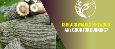 Is Black Walnut Firewood Any Good for Burning?