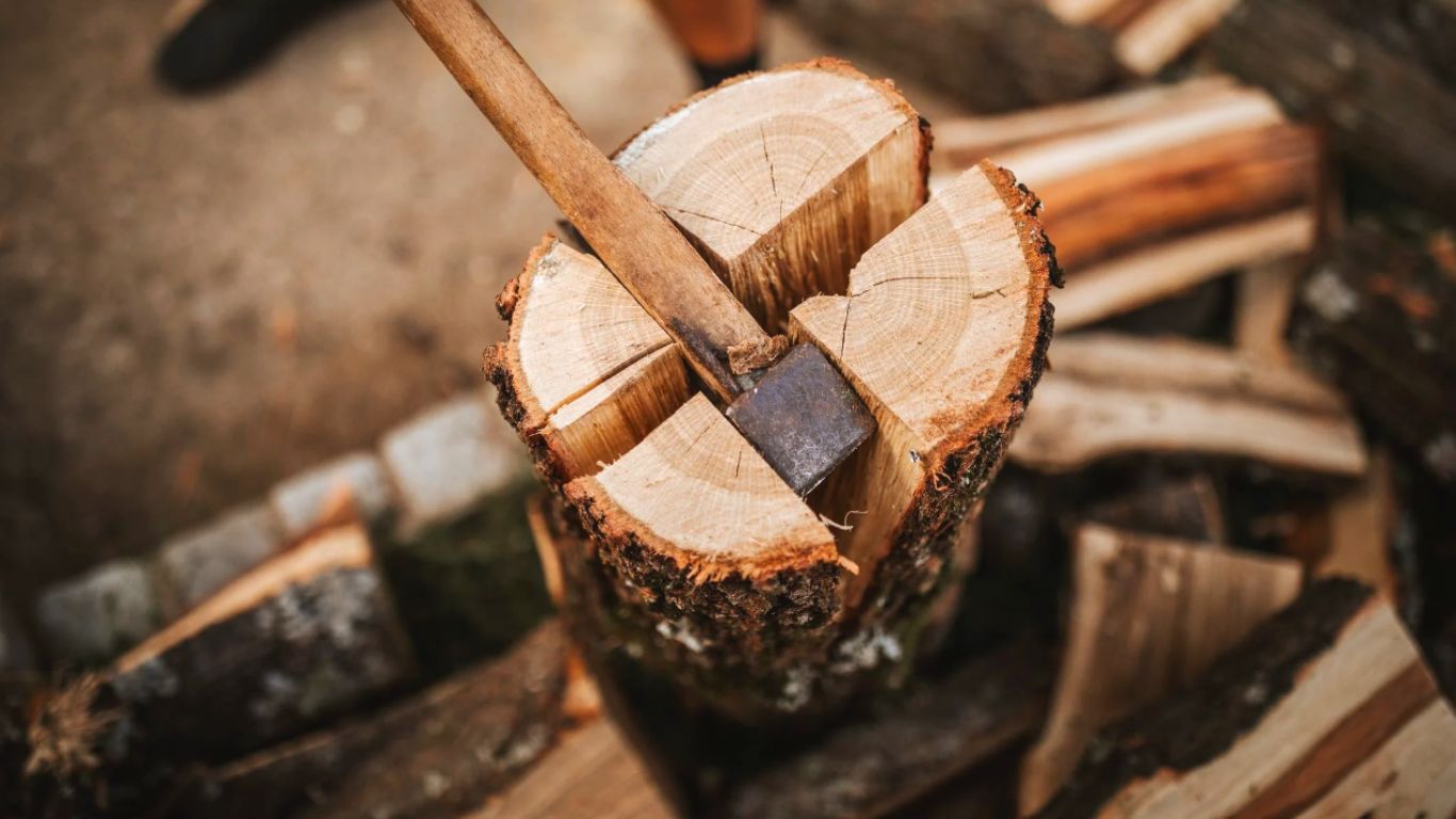 Split the Wood Logs