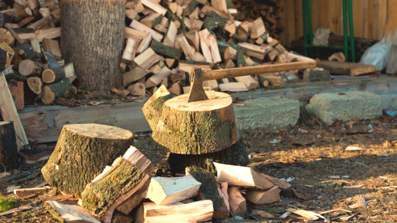 Types of Walnut Firewood