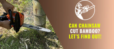 Can Chainsaws Cut Bamboo? Let’s Find Out!