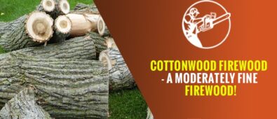 Cottonwood Firewood – A Moderately Fine Firewood!