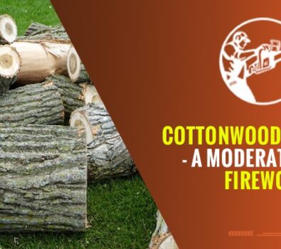 Cottonwood Firewood – A Moderately Fine Firewood!