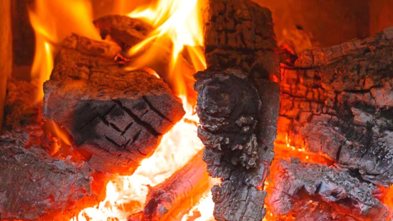 Highlights of Burning Cottonwood Firewood